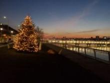 Festivals, December 07, 2024, 12/07/2024, Holiday on the Hudson Tree Lighting