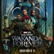 Movie in a Parks, July 25, 2024, 07/25/2024, Black Panther: Wakanda Forever (2022): Superhero Sequel