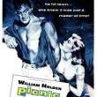Films, August 29, 2024, 08/29/2024, Picnic (1955) with Kim Novak