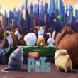 Movie in a Parks, September 26, 2024, 09/26/2024, The Secret Life of Pets (2016): Animated Dog Adventure