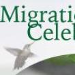 Birdwatchings, September 14, 2024, 09/14/2024, Migration Celebration