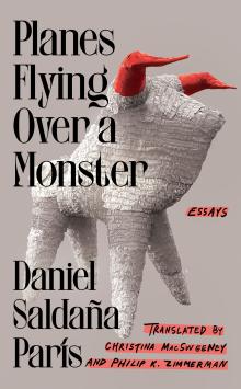 Book Discussions, October 08, 2024, 10/08/2024, Planes Flying Over a Monster by&nbsp;Daniel Saldana Paris