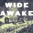 Book Discussions, September 06, 2024, 09/06/2024, Wide Awake&nbsp;by Jon Grinspan