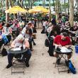 Workshops, September 14, 2024, 09/14/2024, Crossword Tournament in the Park