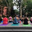 Workshops, October 02, 2024, 10/02/2024, Outdoor Yoga