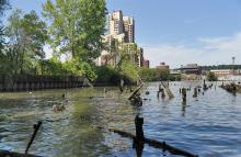 Tours, September 15, 2024, 09/15/2024, Walking the Harlem River: Hidden Shorelines and New Developments