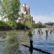 Tours, September 15, 2024, 09/15/2024, Walking the Harlem River: Hidden Shorelines and New Developments