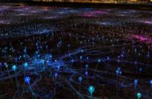 City Walks, November 29, 2024, 11/29/2024, Dazzling Lights! Immersive Experience by the Waterfront