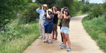 Birdwatchings, October 12, 2024, 10/12/2024, Bird Walk in Central Park