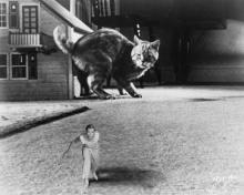 Films, October 19, 2024, 10/19/2024, The Incredible Shrinking Man (1957): Classic '50s Sci-Fi