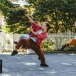 Dance Performances, September 15, 2024, 09/15/2024, Portraits of the Moon: Dance Tribute to Chinese Heritage - Outdoors