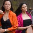 Concerts, November 13, 2024, 11/13/2024, Cello and Piano Duo: Folksongs by Composers of Various Cultures (online)