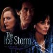 Films, November 26, 2024, 11/26/2024, The Ice Storm (1997) with&nbsp;Tobey Maguire, Christina Ricci,&nbsp;Elijah Wood, and Sigourney Weaver