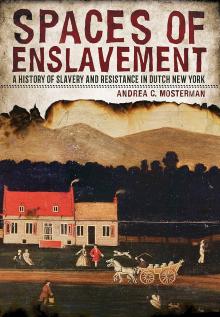 Book Discussions, November 14, 2024, 11/14/2024, Spaces of Enslavement: A History of Slavery and Resistance in Dutch New York (online)