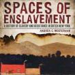 Book Discussions, November 14, 2024, 11/14/2024, Spaces of Enslavement: A History of Slavery and Resistance in Dutch New York (online)