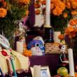 Festivals, October 27, 2024, 10/27/2024, Day of The Dead Celebration: Mariachi, Workshops, Authentic Mexican Market, Honoring the Lost Ones Ceremony