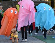 Parades, October 26, 2024, 10/26/2024, 22nd Annual Halloween Dog Parade