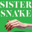 Book Discussions, December 03, 2024, 12/03/2024, Sister Snake by&nbsp;Amanda Lee Koe