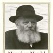 Book Discussions, November 14, 2024, 11/14/2024, Menachem Mendel Schneerson: Becoming the Messiah (online)