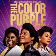 Films, January 29, 2025, 01/29/2025, The Color Purple (2023): musical period drama