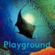 Book Clubs, December 19, 2024, 12/19/2024, Playground by Richard Powers