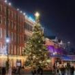 Festivals, December 03, 2024, 12/03/2024, Seaport Holiday Tree Lighting