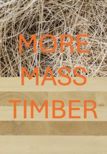 Discussions, January 08, 2025, 01/08/2025, More Mass Timber in New York (in-person and online)