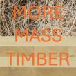 Discussions, January 08, 2025, 01/08/2025, More Mass Timber in New York (in-person and online)