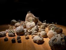 Opening Receptions, January 09, 2025, 01/09/2025, Only for the Wicked: Fantastical Stone Garden