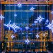 Others, December 21, 2024, 12/21/2024, Holiday Under the Stars: Dazzling Light Shows