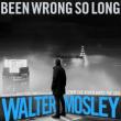 Book Discussions, February 10, 2025, 02/10/2025, Been Wrong So Long It Feels Like Right: Latest Mystery from Walter Mosley (online)