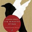 Book Clubs, February 03, 2025, 02/03/2025, The Ministry of Pain by Dubravka Ugresic (in-person and online)