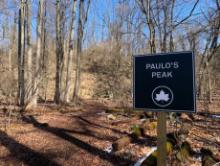 Hikes, January 11, 2025, 01/11/2025, Nature Hike in the Park