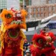 Festivals, February 01, 2025, 02/01/2025, Lunar New Year Celebration: Lion Dance, Crafts, and More