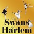 Book Discussions, February 26, 2025, 02/26/2025, The Swans of Harlem: Five Black Ballerinas, Fifty Years of Sisterhood, and Their Reclamation of a Groundbreaking History