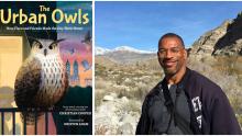 Book Discussions, February 04, 2025, 02/04/2025, The Urban Owls: How Flaco and Friends Made the City Their Home&nbsp;(online)