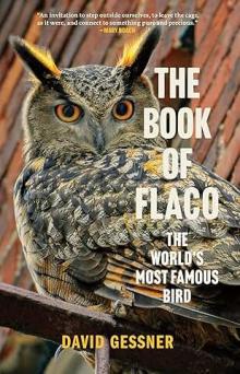 Book Discussions, February 27, 2025, 02/27/2025, The Book of Flaco: The World's Most Famous Bird