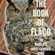 Book Discussions, February 27, 2025, 02/27/2025, The Book of Flaco: The World's Most Famous Bird