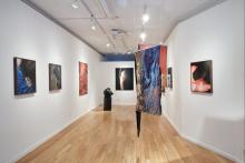 Gallery Talks, February 22, 2025, 02/22/2025, Photography, Sculpture, and Textile Artist Discusses her Work