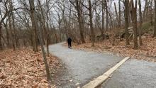 Hikes, March 02, 2025, 03/02/2025, Meanderings in 2 Bronx Parks