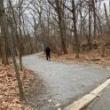 Hikes, March 02, 2025, 03/02/2025, Meanderings in 2 Bronx Parks