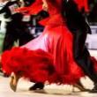 Concerts, March 09, 2025, 03/09/2025, Rhythms of the Americas: A Celebration of Latin Dance