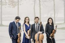 Concerts, April 08, 2025, 04/08/2025, Viennese Quartet Performs Schubert and More