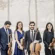 Concerts, April 08, 2025, 04/08/2025, Viennese Quartet Performs Schubert and More